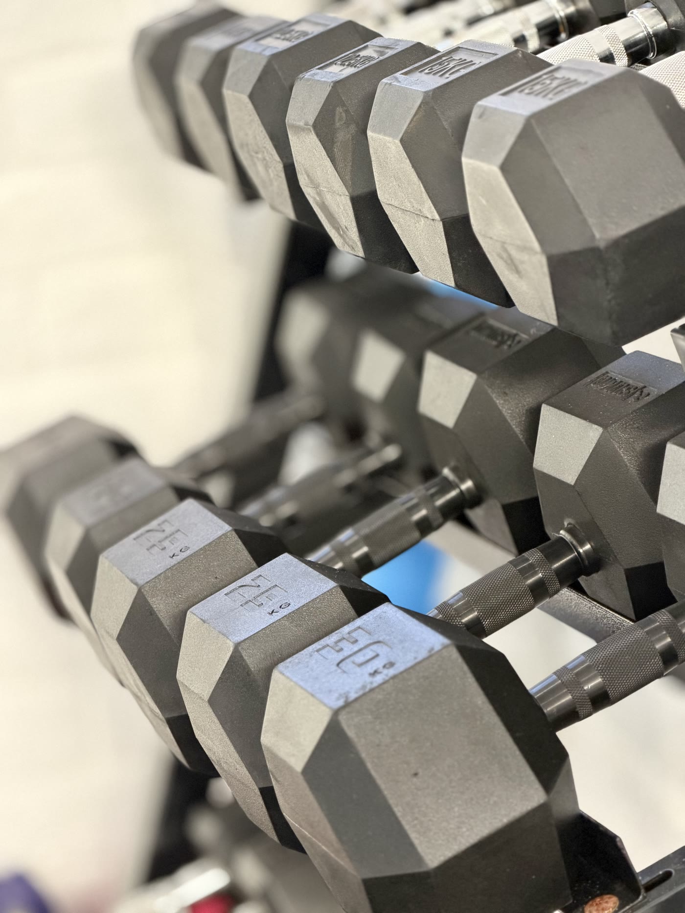 Dumbbells arranged in the private Yellow Rock PT studio